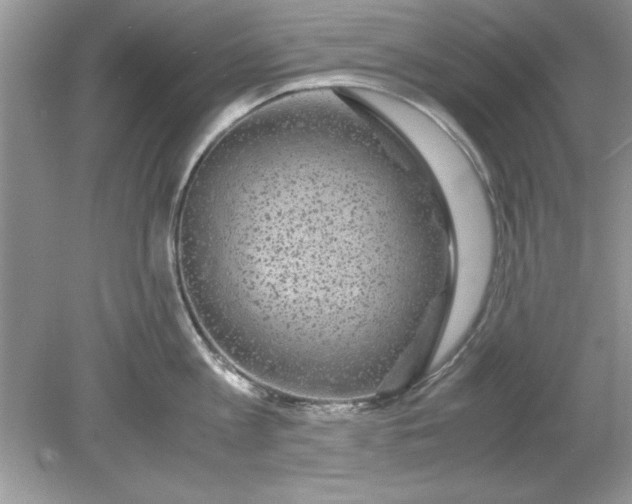 X0000078880813200612042022