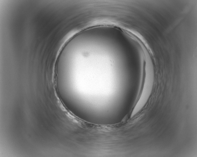 X0000078880815200612042022