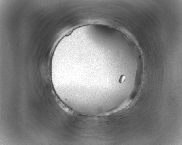 X0000078880816200612042022