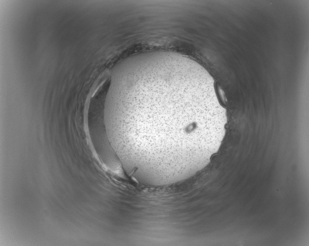 X0000078880817200612042022