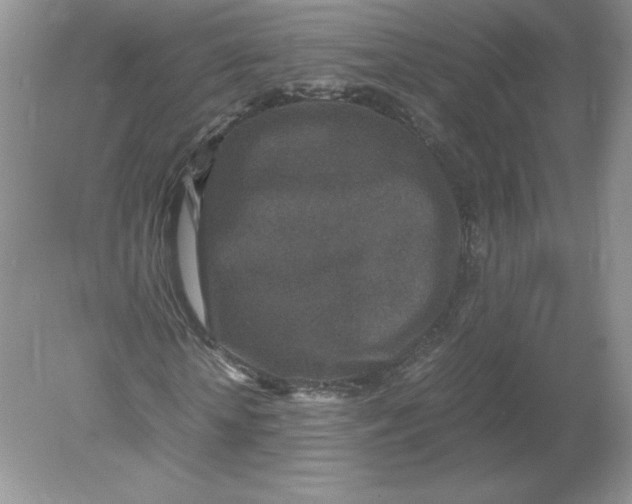 X0000078880818200612042022