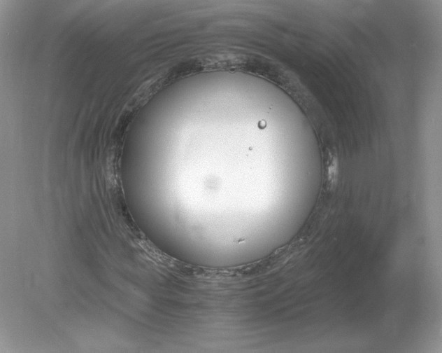 X0000078880819200612042022