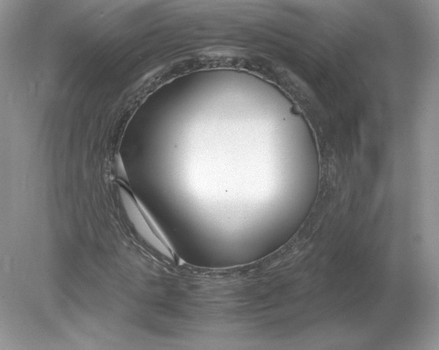 X0000078880821200612042022