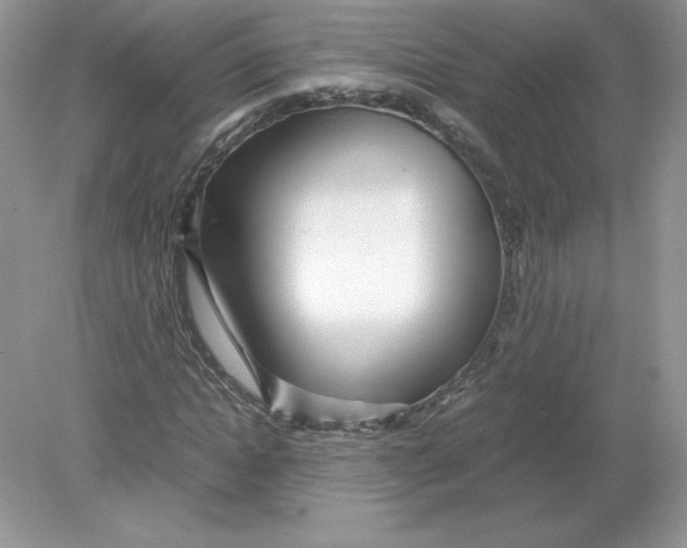 X0000078880822200612042022