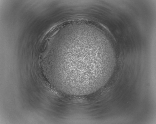 X0000078880823200612042022