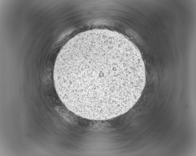 X0000078880824200612042022