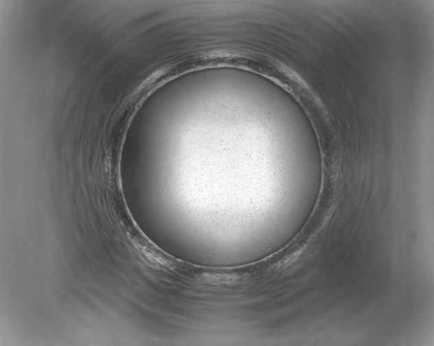 X0000078880825200612042022