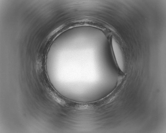 X0000078880826200612042022