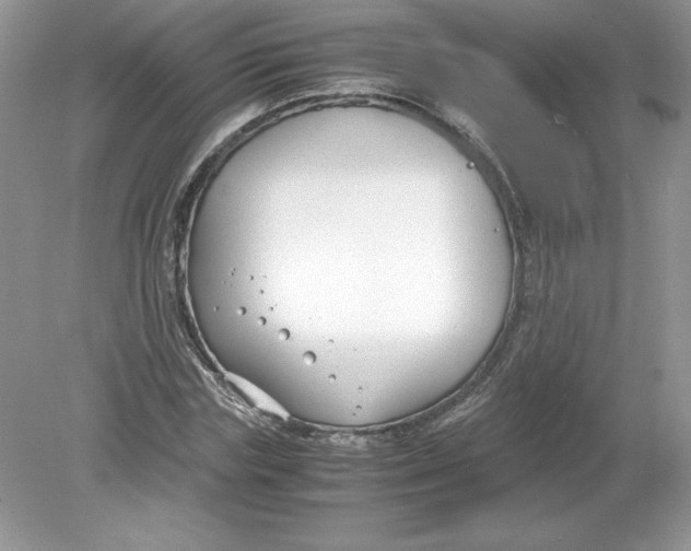 X0000078880827200612042022