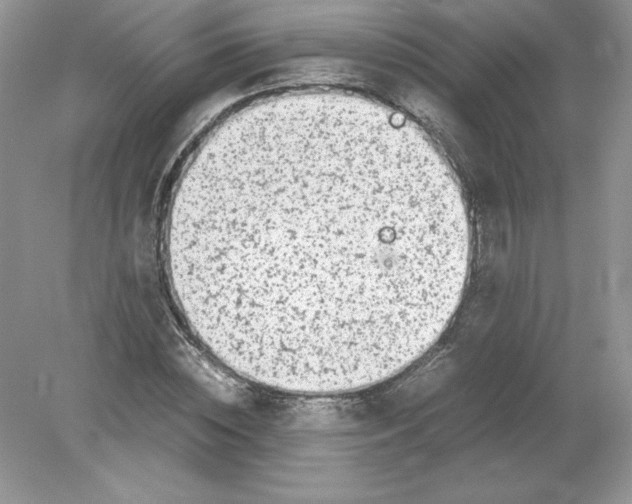 X0000078880828200612042022