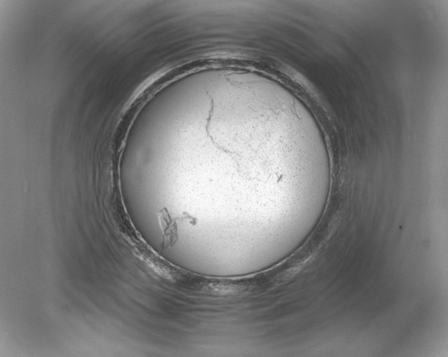 X0000078880829200612042022