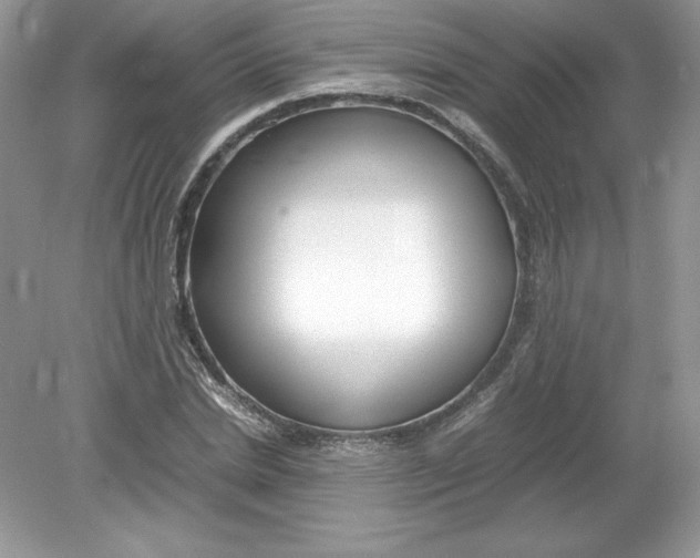 X0000078880830200612042022