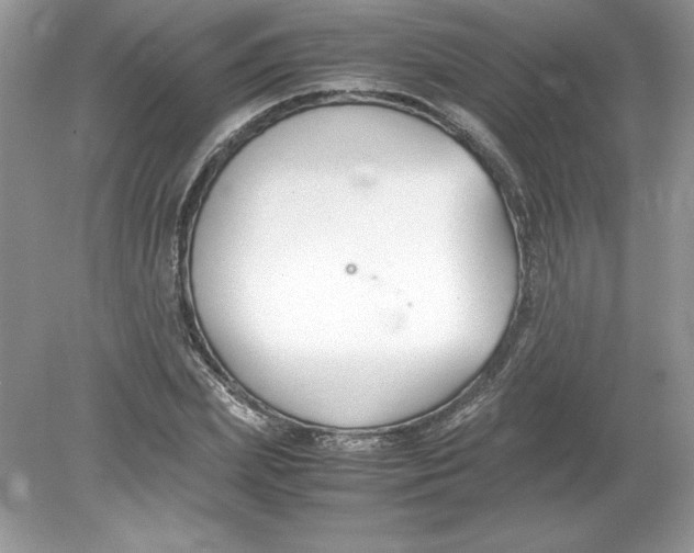 X0000078880831200612042022