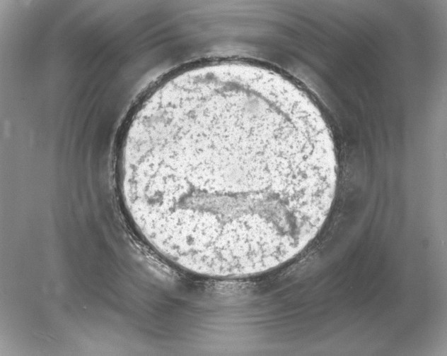 X0000078880832200612042022