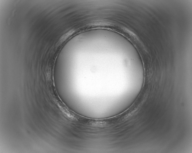 X0000078880833200612042022