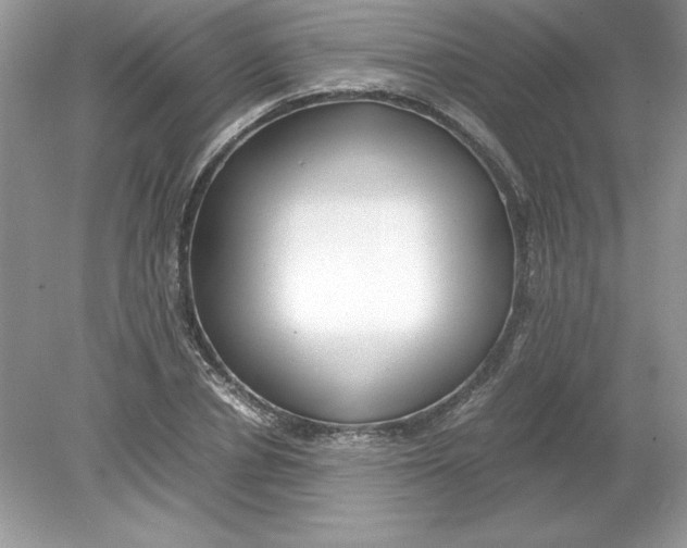 X0000078880834200612042022