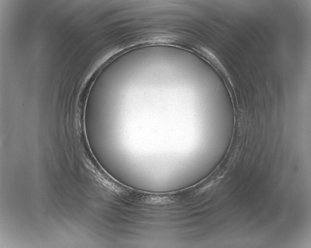 X0000078880835200612042022