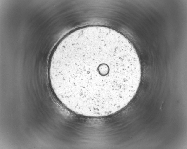 X0000078880836200612042022