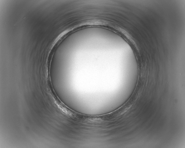 X0000078880837200612042022