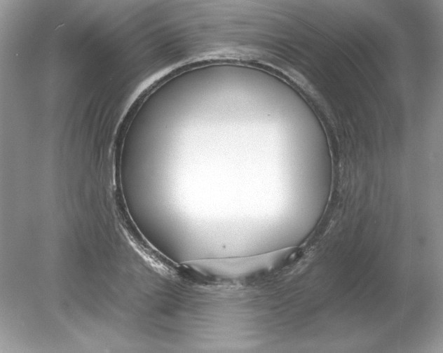 X0000078880838200612042022