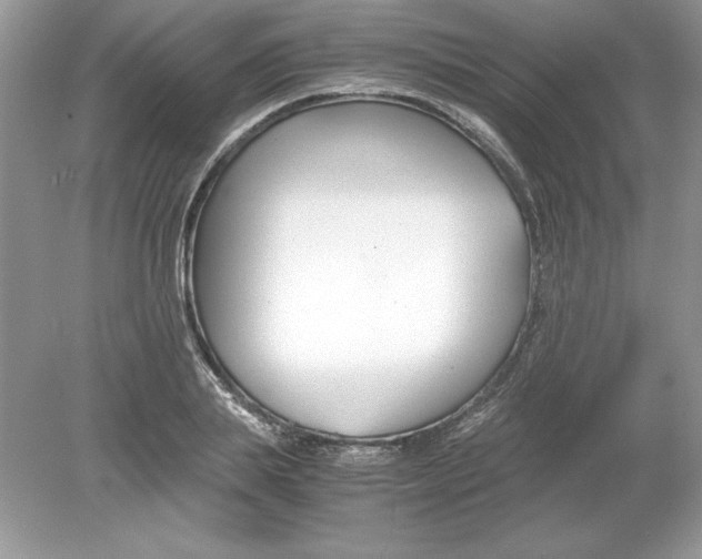 X0000078880839200612042022