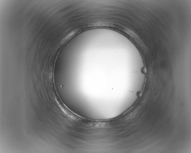 X0000078880841200612042022