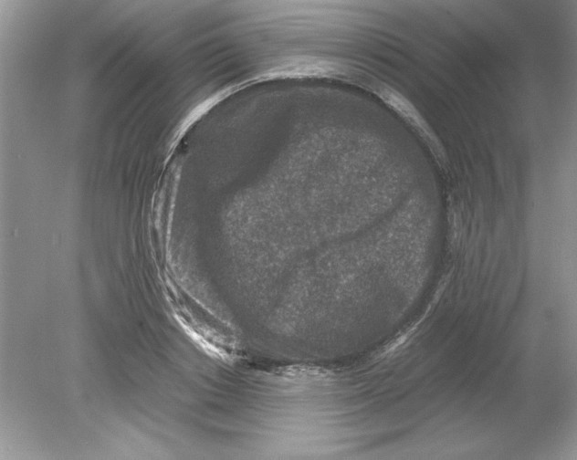 X0000078880842200612042022