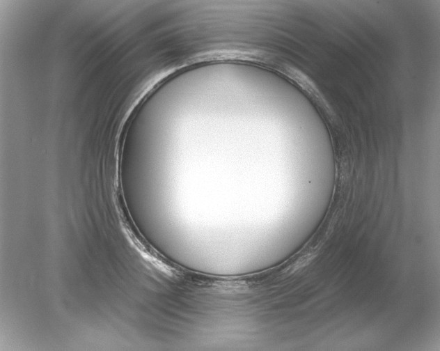 X0000078880844200612042022