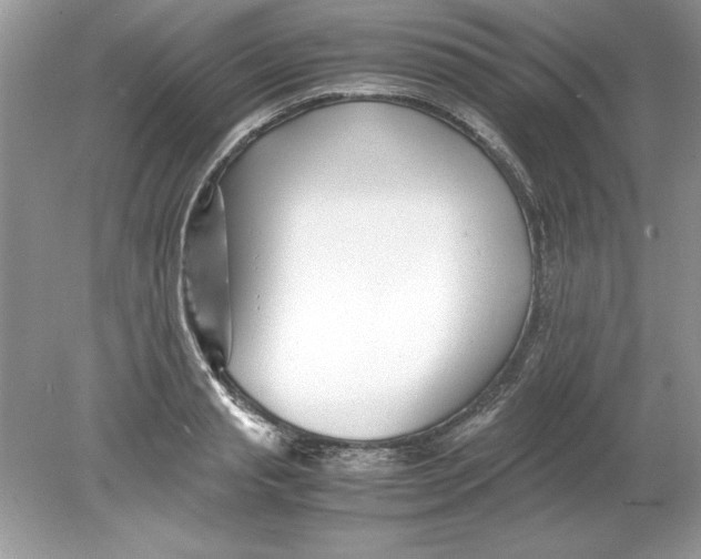 X0000078880845200612042022