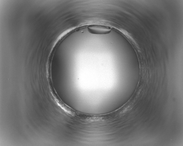 X0000078880846200612042022