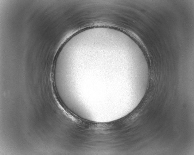 X0000078880847200612042022