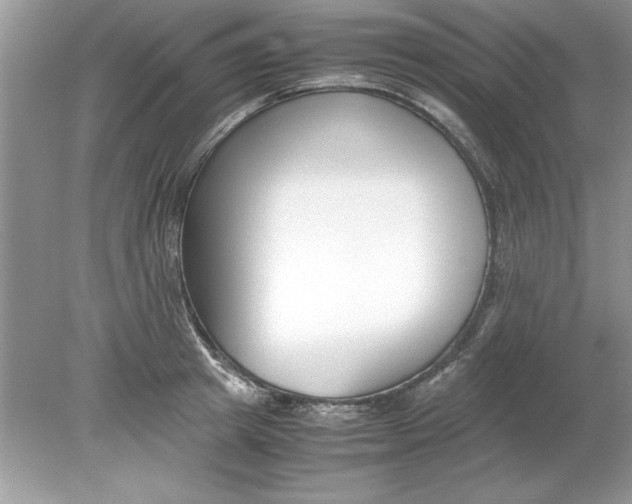 X0000078880849200612042022