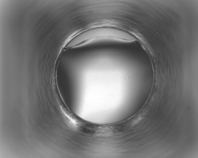 X0000078880850200612042022