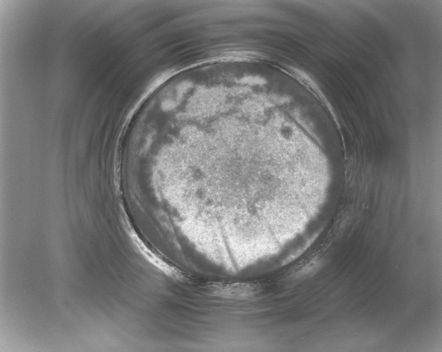 X0000078880851200612042022