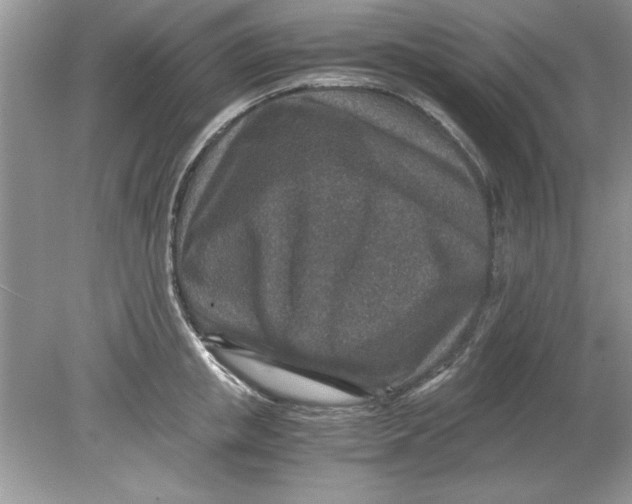 X0000078880853200612042022