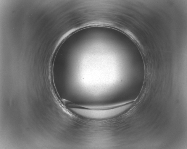 X0000078880854200612042022