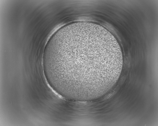 X0000078880855200612042022