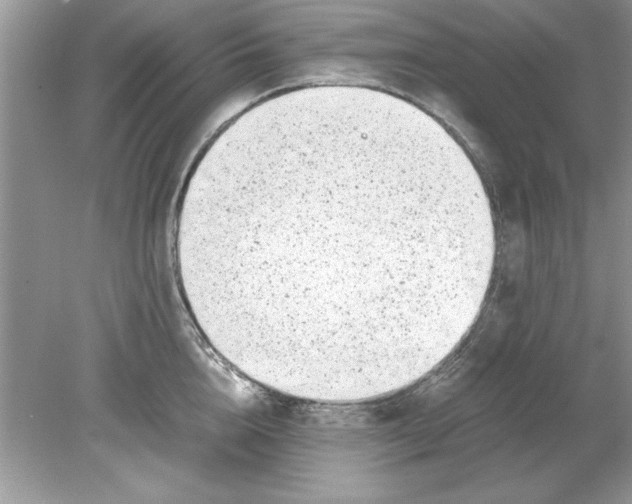 X0000078880856200612042022