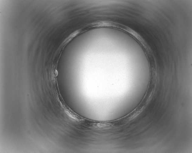 X0000078880857200612042022