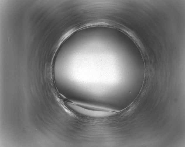 X0000078880858200612042022