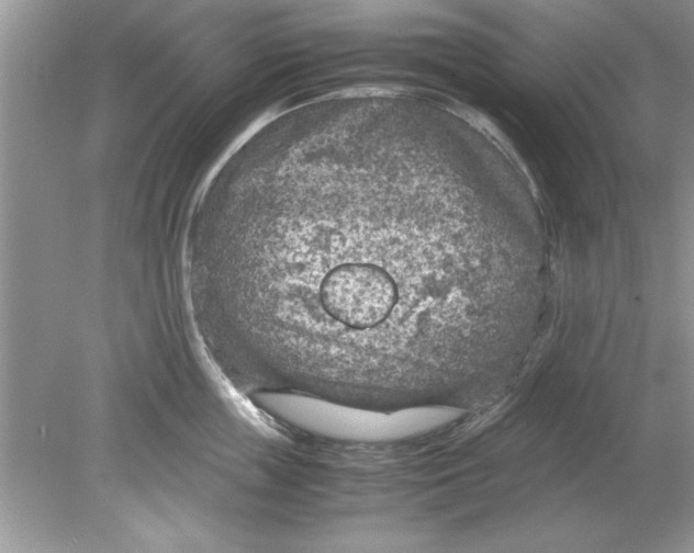 X0000078880859200612042022