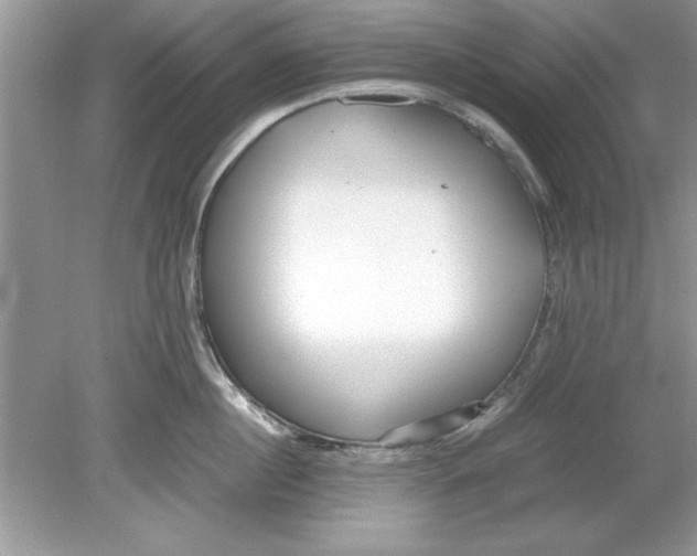 X0000078880860200612042022