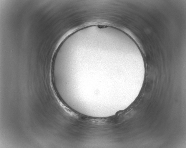 X0000078880861200612042022