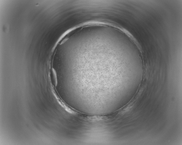 X0000078880862200612042022