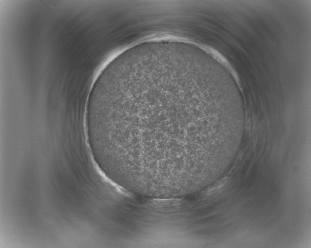 X0000078880863200612042022