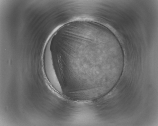 X0000078880864200612042022