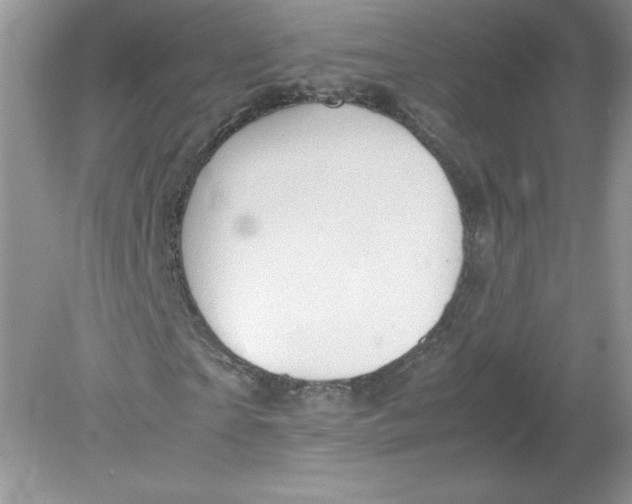 X0000078880865200612042022