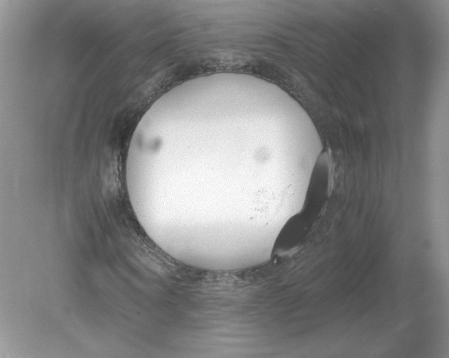 X0000078880866200612042022