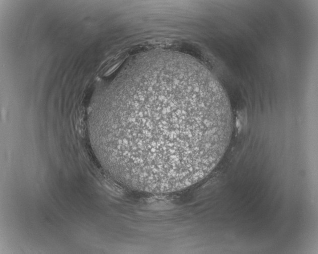 X0000078880867200612042021