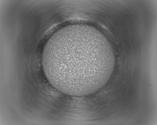 X0000078880870200612042021